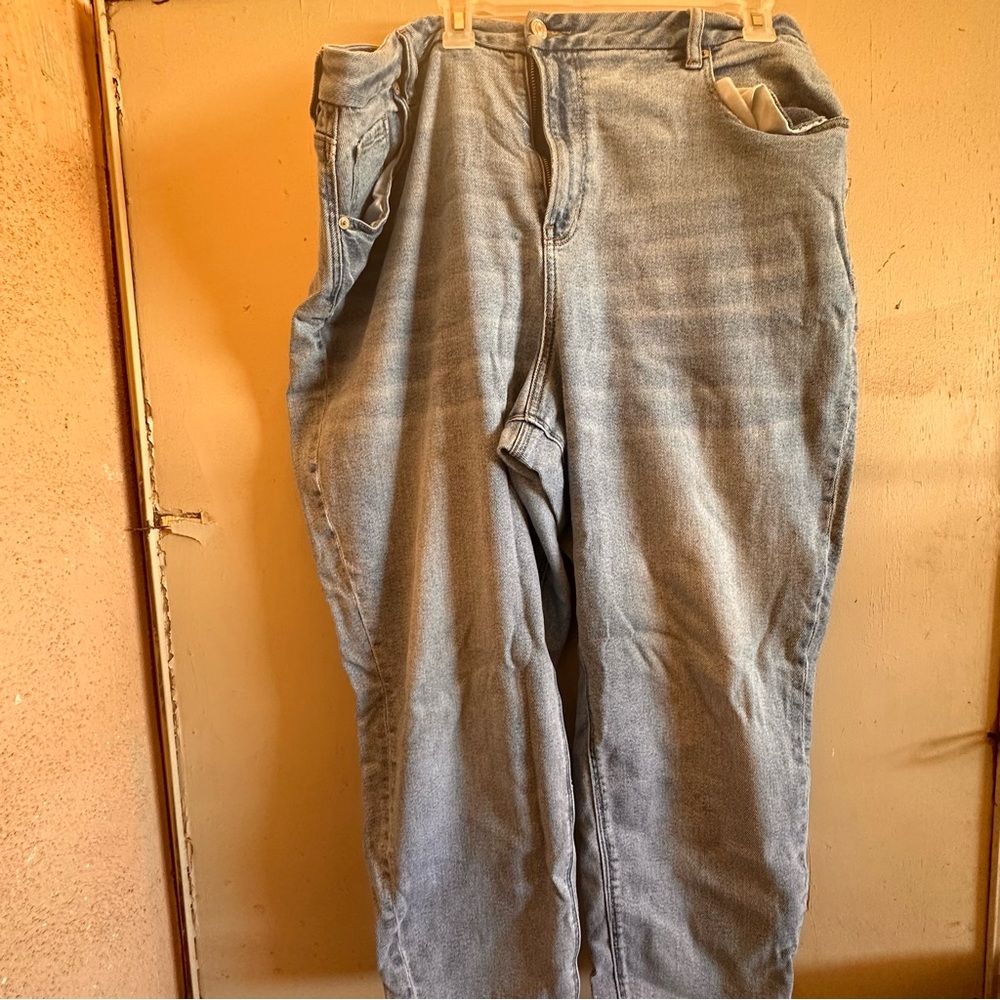 American Eagle Mom Jean Short
